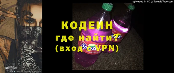 хмурый Гусь-Хрустальный