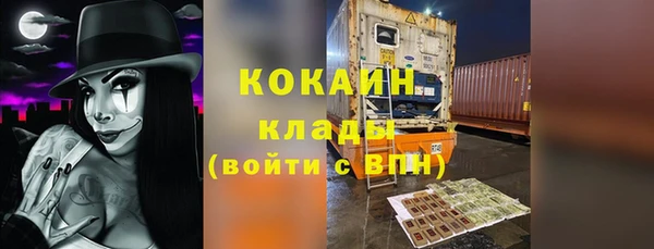 хмурый Гусь-Хрустальный