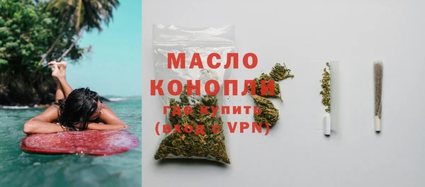 хмурый Гусь-Хрустальный