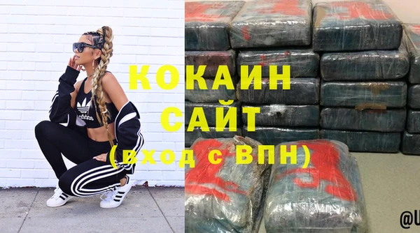 хмурый Гусь-Хрустальный