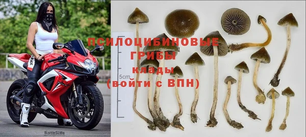 гидропоника Гусев
