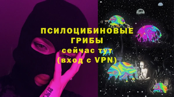 хмурый Гусь-Хрустальный