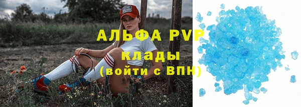 хмурый Гусь-Хрустальный