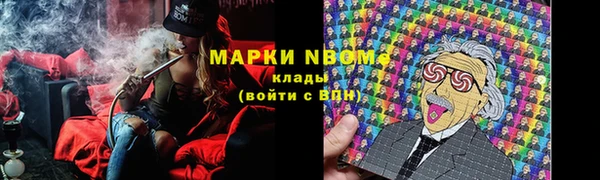 хмурый Гусь-Хрустальный