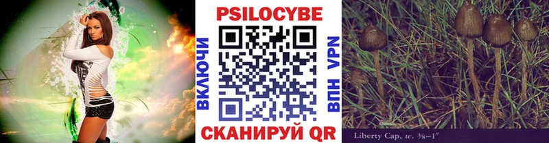 Псилоцибиновые грибы прущие грибы  Клин 